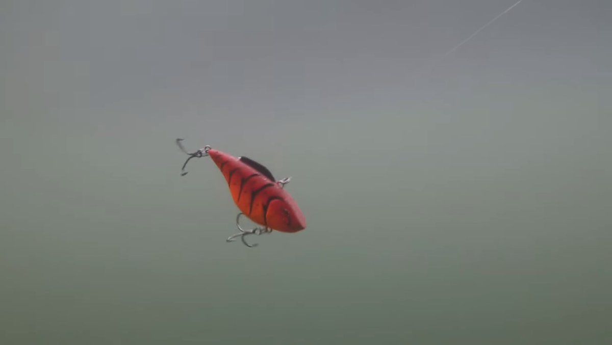 BassGeekFishing's tweet photo. The Best Lipless Retrive NO ONE Knows!
WATCH➡️ https://t.co/7l9J1vFRsj

#fishing #lipless #bassfishing #springfishing #rattletrap #fishingtips #bassfishingtips Bill Lewis Fishing #winterfishing https://t.co/xCHLsGkKQt
