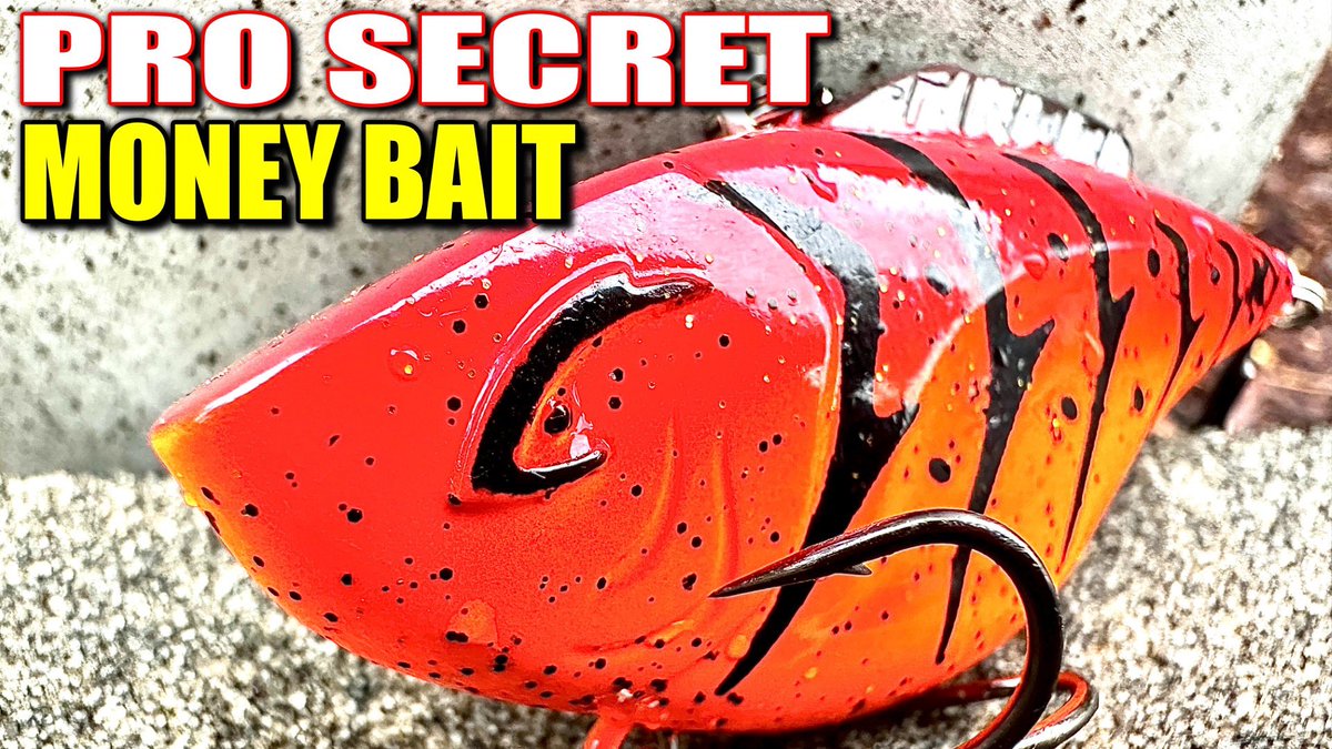 BassGeekFishing's tweet photo. The Best Lipless Retrive NO ONE Knows!
WATCH➡️ https://t.co/7l9J1vFRsj

#fishing #lipless #bassfishing #springfishing #rattletrap #fishingtips #bassfishingtips Bill Lewis Fishing #winterfishing https://t.co/xCHLsGkKQt