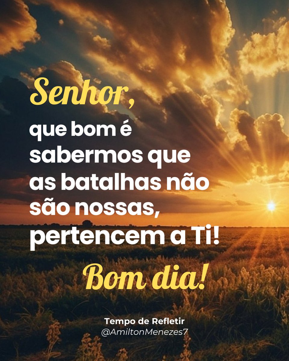 AmiltonMenezes7 (@amiltonmenezes) on Twitter photo 