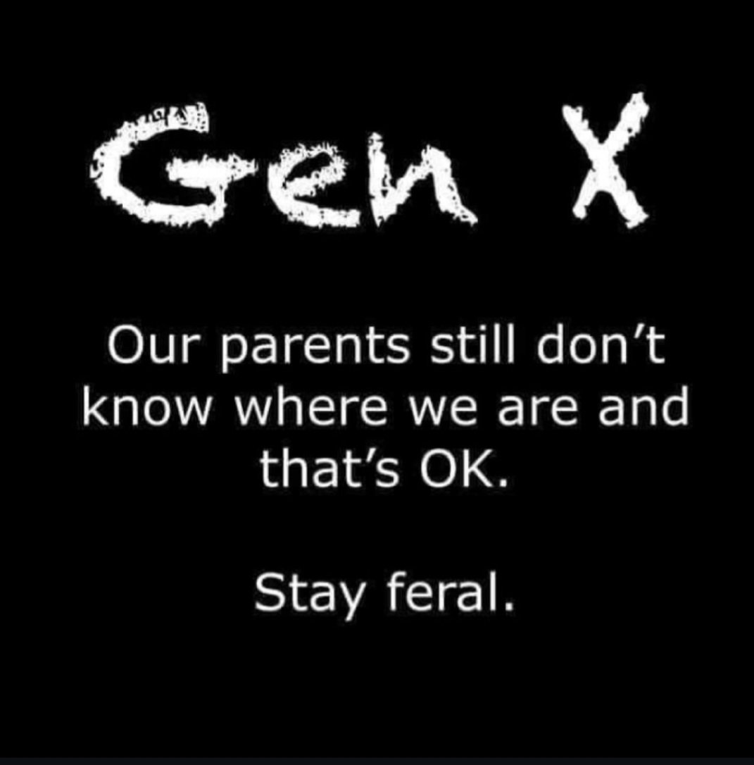 Silly Sheep 🐏 tweet media