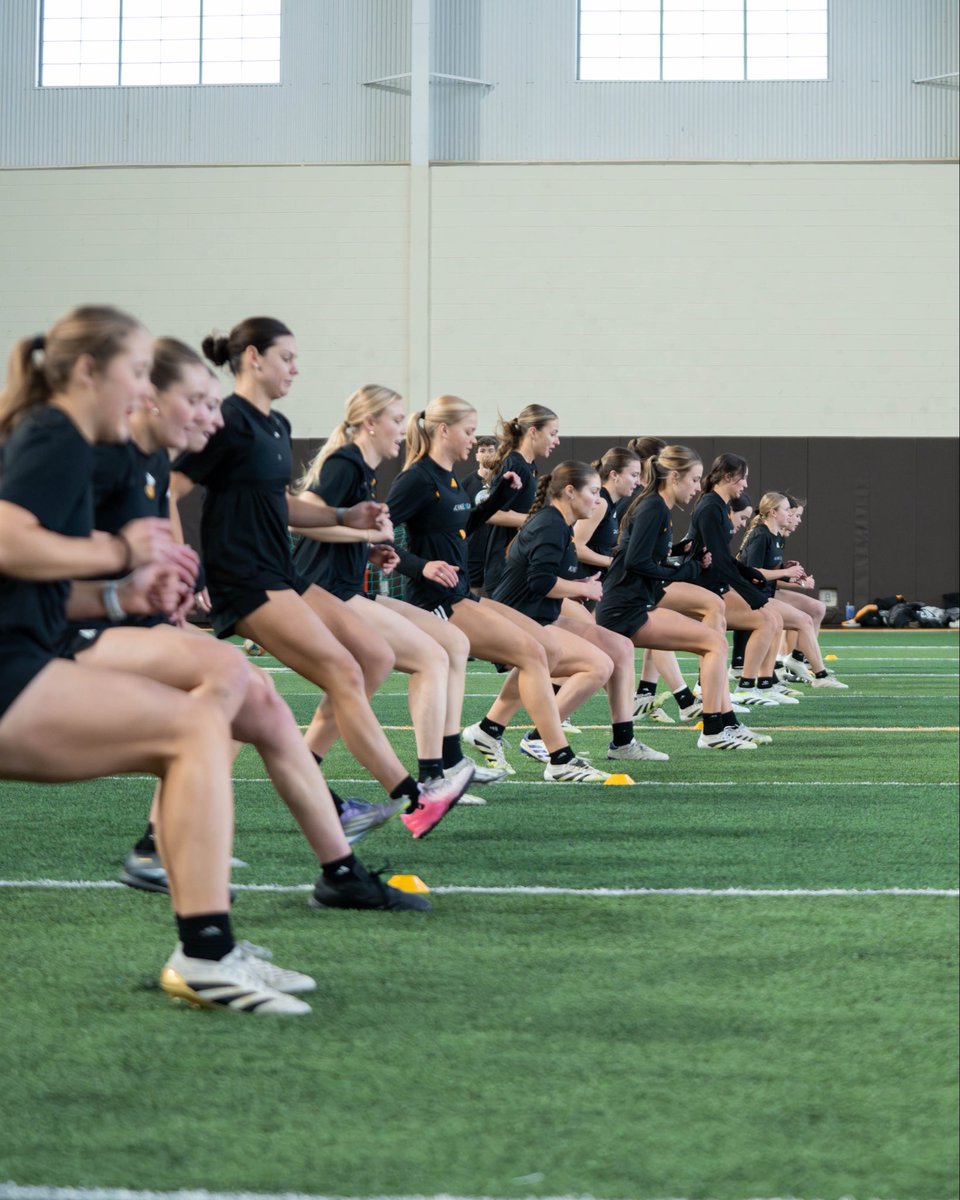 Wyoming Cowgirl Soccer tweet media