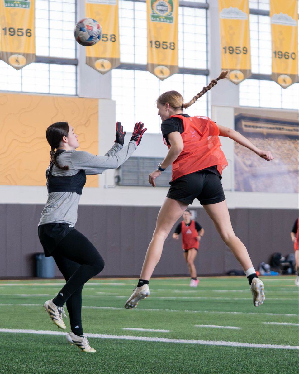 Wyoming Cowgirl Soccer tweet media