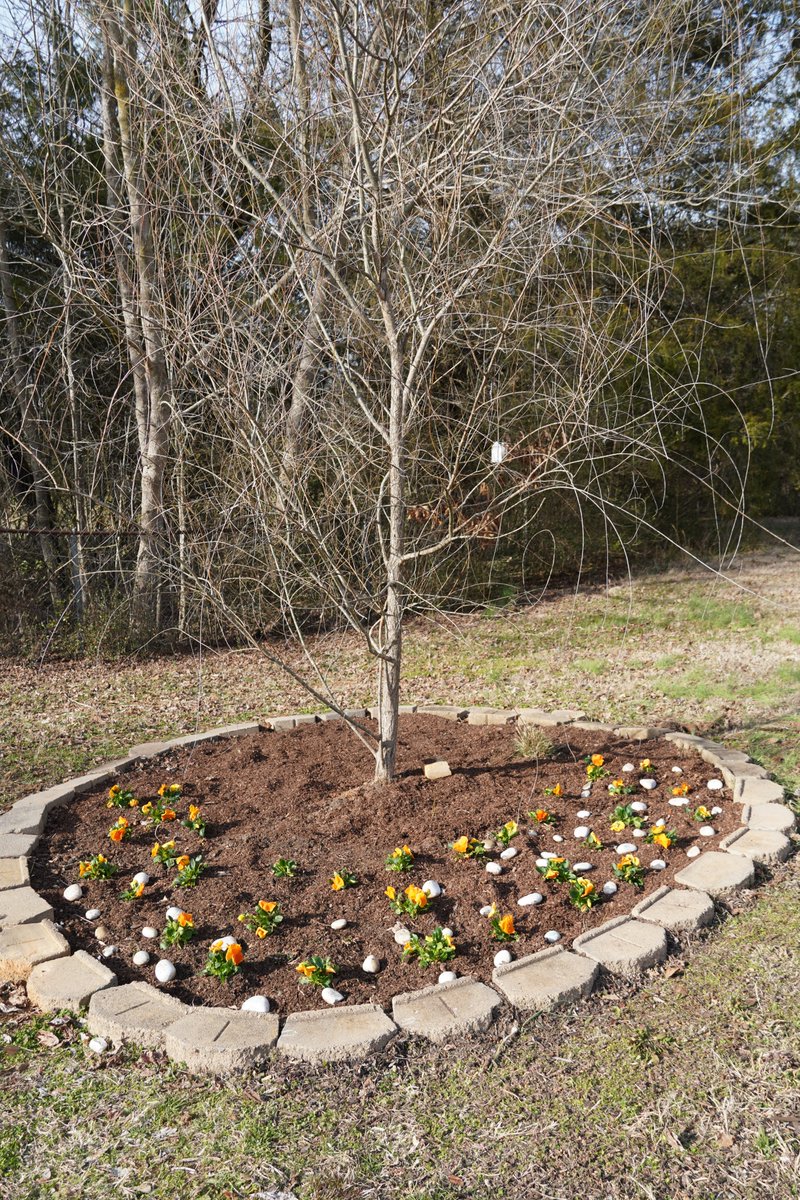 First Lady Maria Lee tweet media