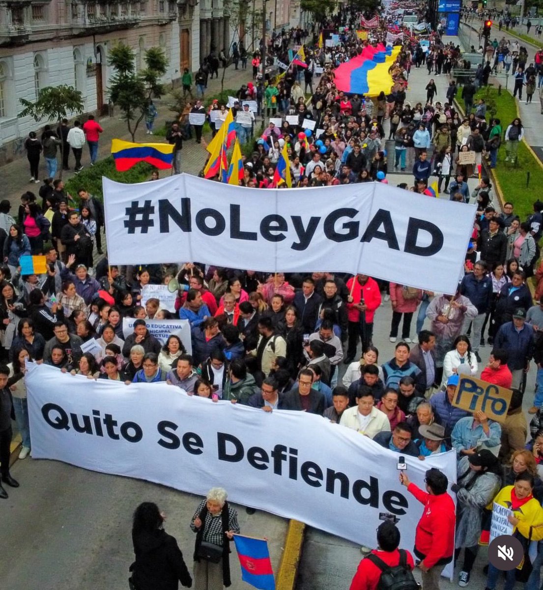 JahirenNoriega's tweet photo. Se atrincheraron en Samborondón porque gobiernan de espaldas al pueblo.

Hoy aprobaron una reforma que, lejos de “ordenar” las finanzas públicas, destruye la inversión de los gobiernos locales en lo que verdaderamente importa: la salud, la educación, el deporte y la cultura. 

Priorizaron el pago de la deuda sobre la vida de la gente, le dieron la espalda a los niños más pobres de este país, que su vida depende de los “guagua centro”; a los abuelitos que sin los “60 y piquito” pierden su único espacio de cuidado; a las mujeres violentadas que han sobrevivido gracias a los “Warmi Pichincha”.

Escribo estas palabras con profunda decepción. Varios asambleístas “independientes” esperaron hasta el último para votar. ¿Qué esperaban? ¿Una oferta del gobierno? Traicionaron a la gente que confió en ustedes. Ojalá puedan dormir tranquilos.

¿Esperanza? Sí, porque miles salieron a las calles a defender sus derechos y no los vamos a dejar solos. Sí, porque tenemos que seguir resistiendo. 

Gracias @PaolaPabonC @pabelml @Paovercoutere @jotalloretv. Así se lucha desde el territorio.

Con más fuerza, nos vemos en la Corte Constitucional. ¡A seguir organizándonos! ✊🏽