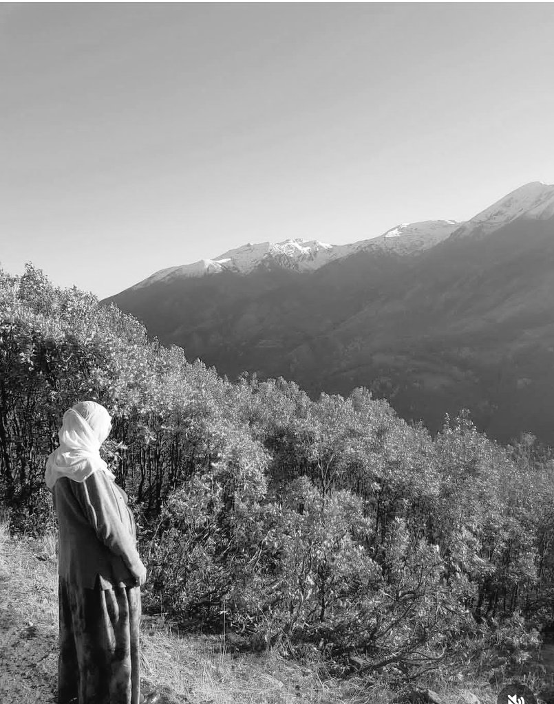 Ez wekî zimanê dayika,
 winda me...

🖤🥀
#DayîkenŞemiyeHefteya1091
#CumartesiAnneleri1091Hafta