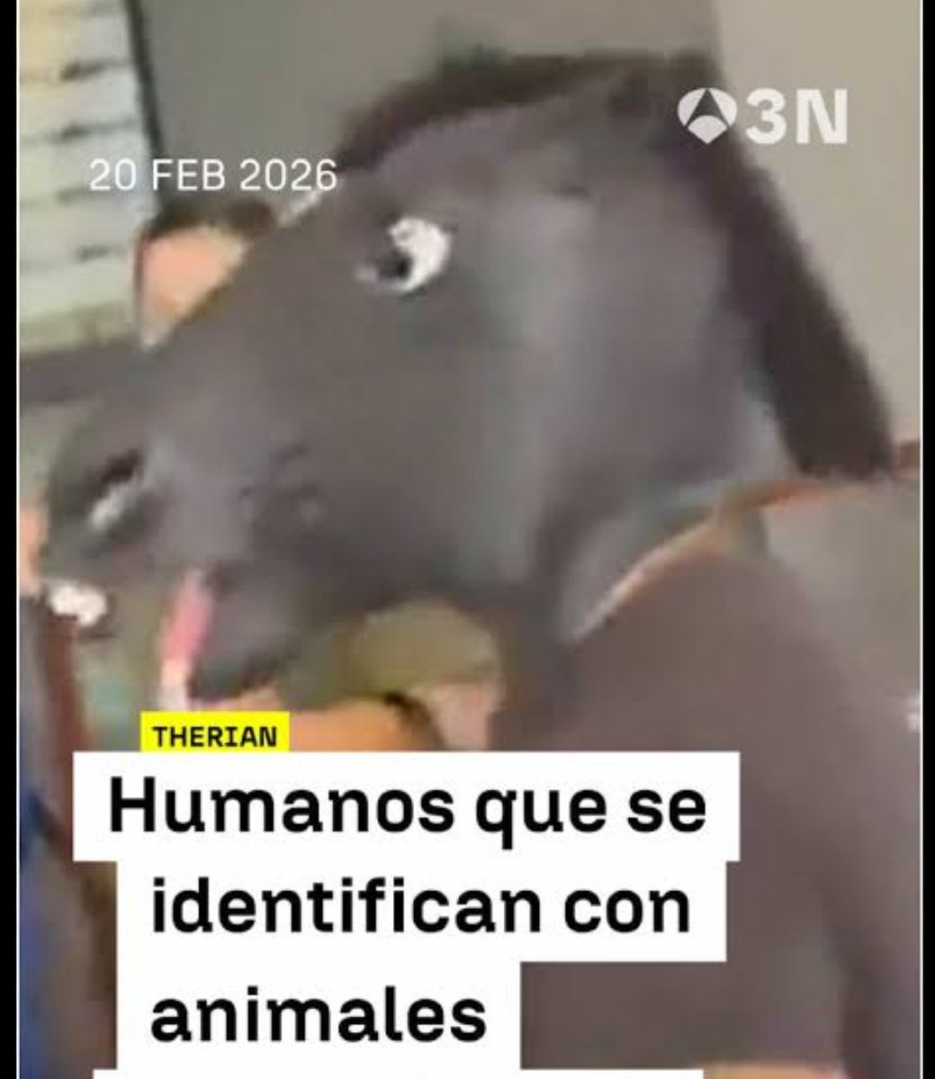 en la siguiente quedada de therians pienso bajar correa en mano a ver si pillo alguna en celo