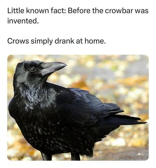 𝘑𝘢𝘮𝘦𝘴 𝘈𝘺𝘥𝘦𝘭𝘰𝘵𝘵 📡🌪️🤓🍷🏴☠️ tweet media