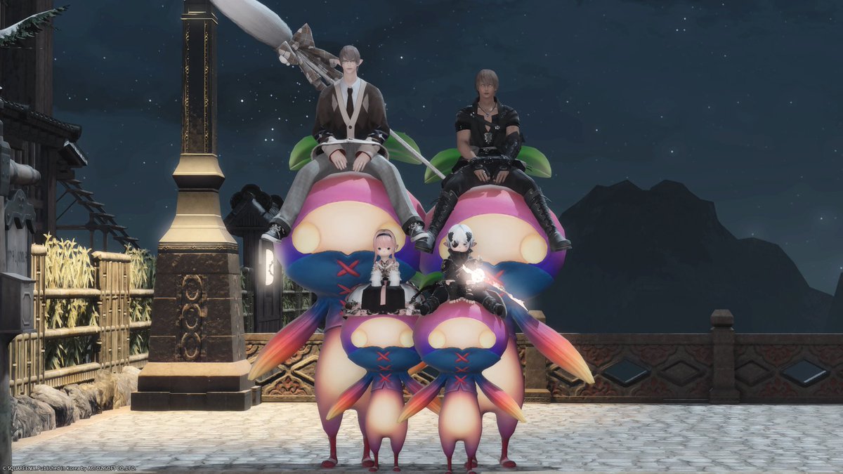 파우나 tweet media