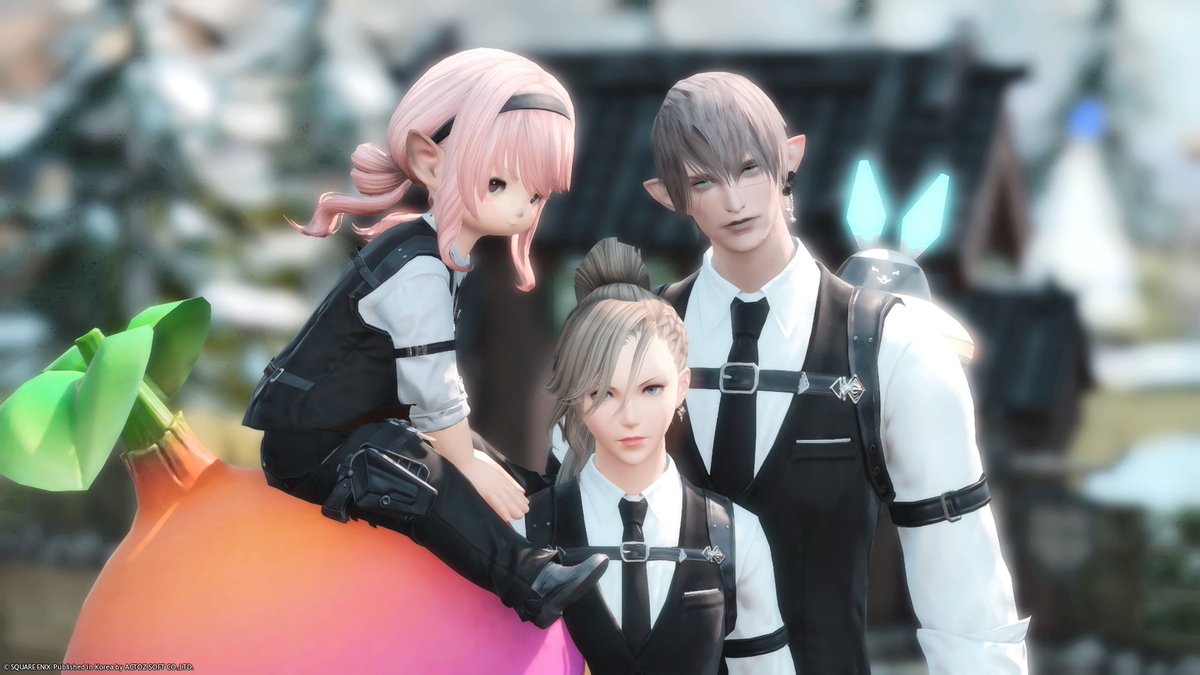 파우나 tweet media