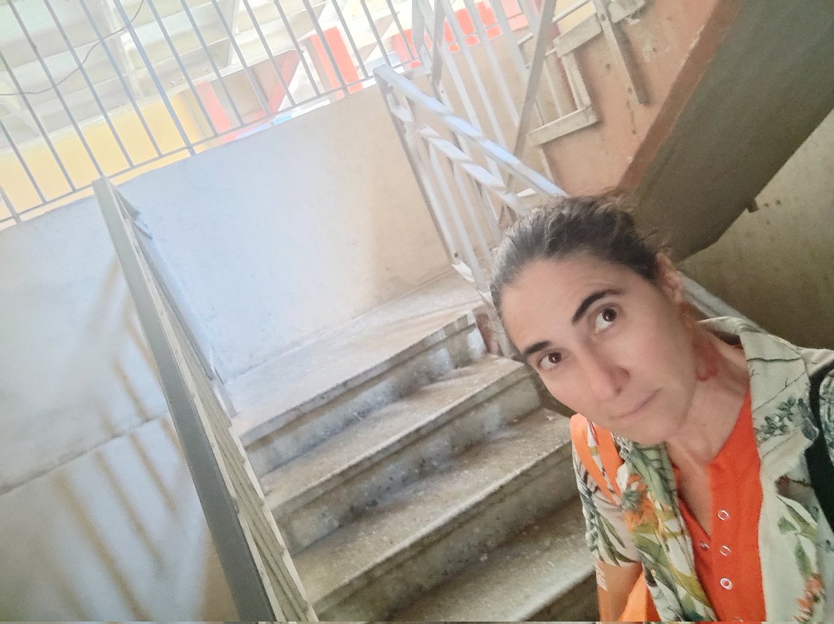 Mi cara en planta baja, antes de subir por tercera vez en un mismo día hasta el piso 14, porque no hay electricidad.

El colapso se vive, se huele, duele en las pantorrillas y en el alma. La crisis no es un titular, es nuestro día a día. 

Un sistema ineficiente y disfuncional