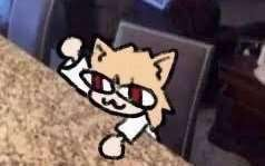 Dandy☆Starr tweet media