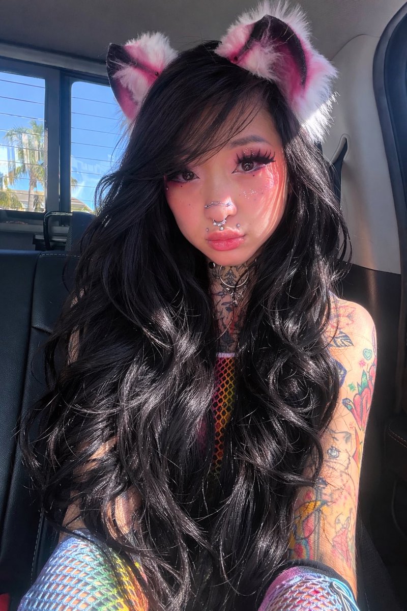 🎀 a knee meow 🎀 FREE OF tweet media