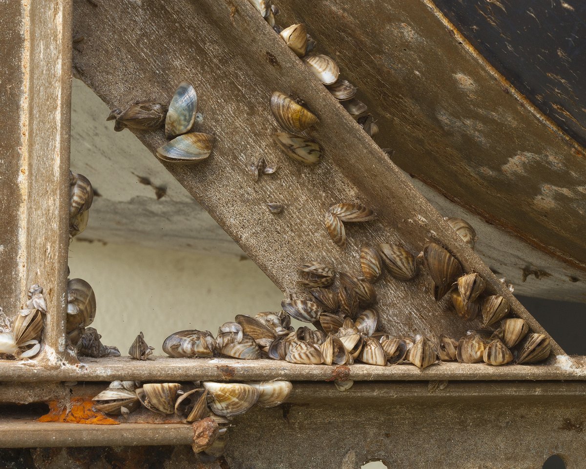 TPWD Fishing tweet media