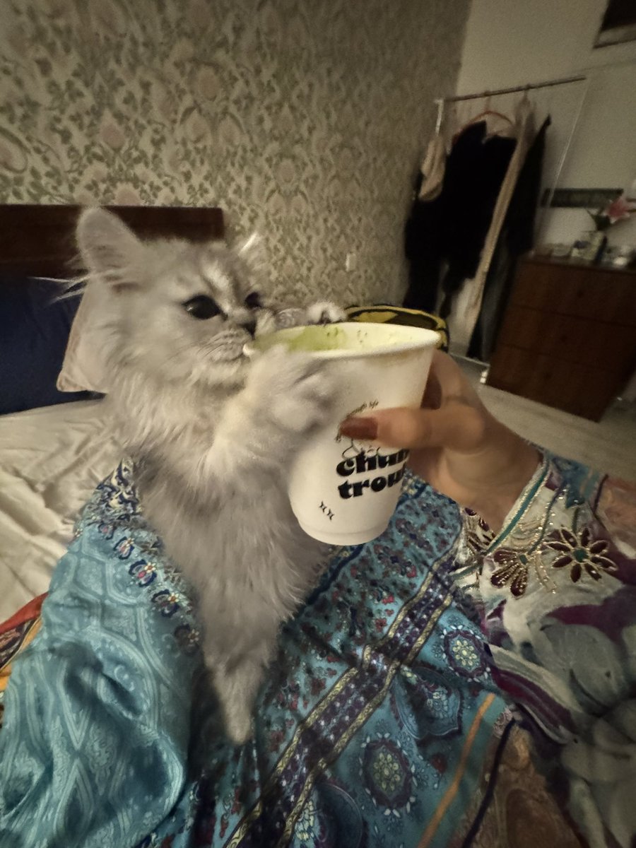 tooklikeww's tweet photo. الكريهه قالت لي ما ابغا مشروب مو مشتهيه ولمن طلبت هجمت على حقي 😑 https://t.co/yreOGQjzO7