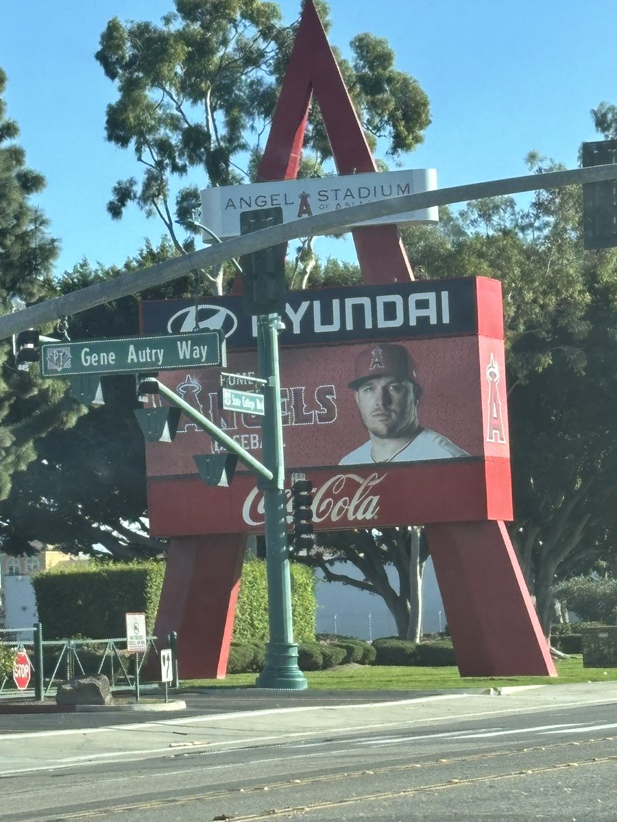 Not Josh Lowe tweet media