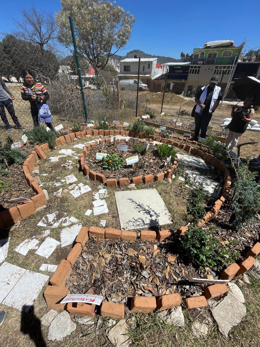 SweFOR México tweet media