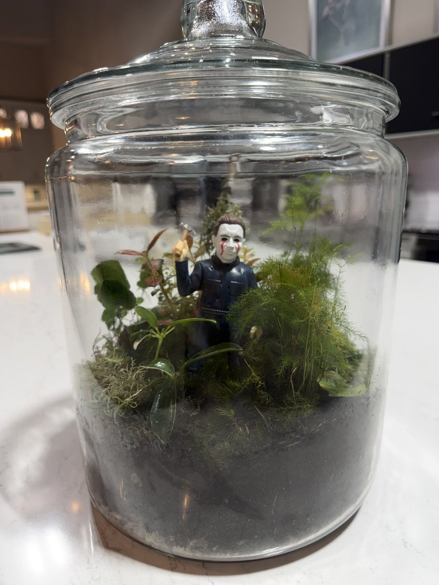 Which one is the best?