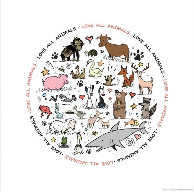 AfterHour Mobile Notary Public Service tweet media