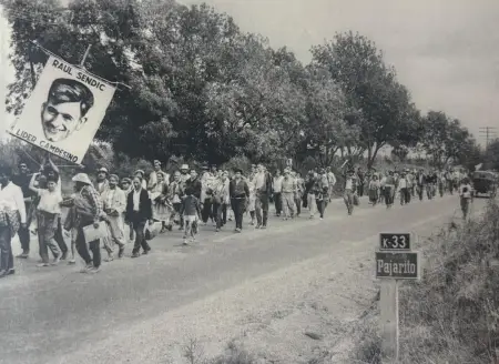 Efemérides | 20 Febrero 1964, primera marcha «por la tierra y con Sendic», de Bella Unión a Montevideo.
El 20 de febrero de 1964 parte desde Bella Unión hacia Montevideo, la primer marcha “Por la tierra y con Sendic”. 👇🧵