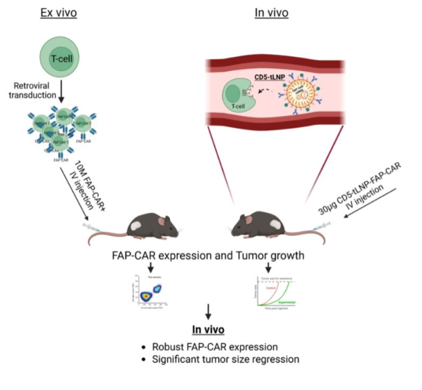 Cancer Immunology Research tweet media