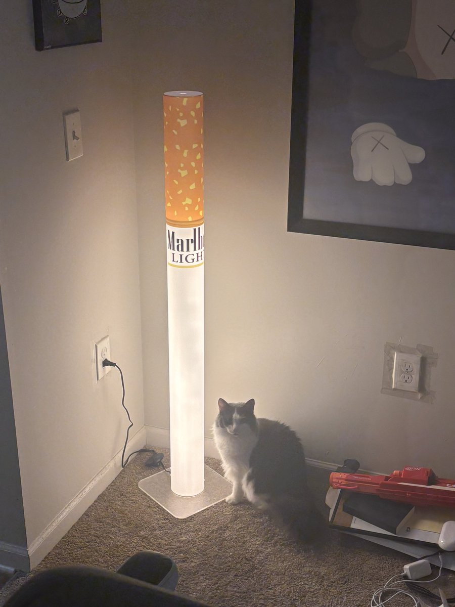 _vandul's tweet image. Found this at goodwill today