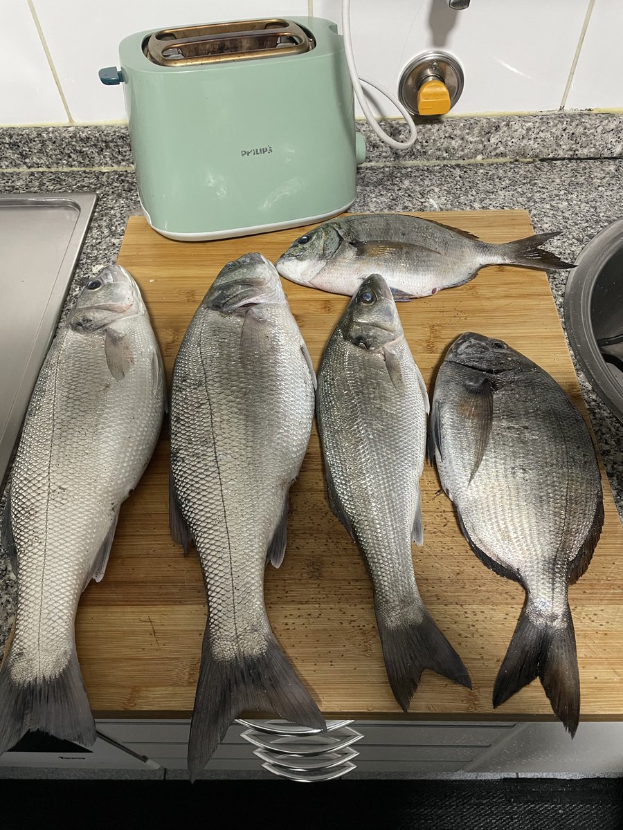 psyKØ²¹² tweet media