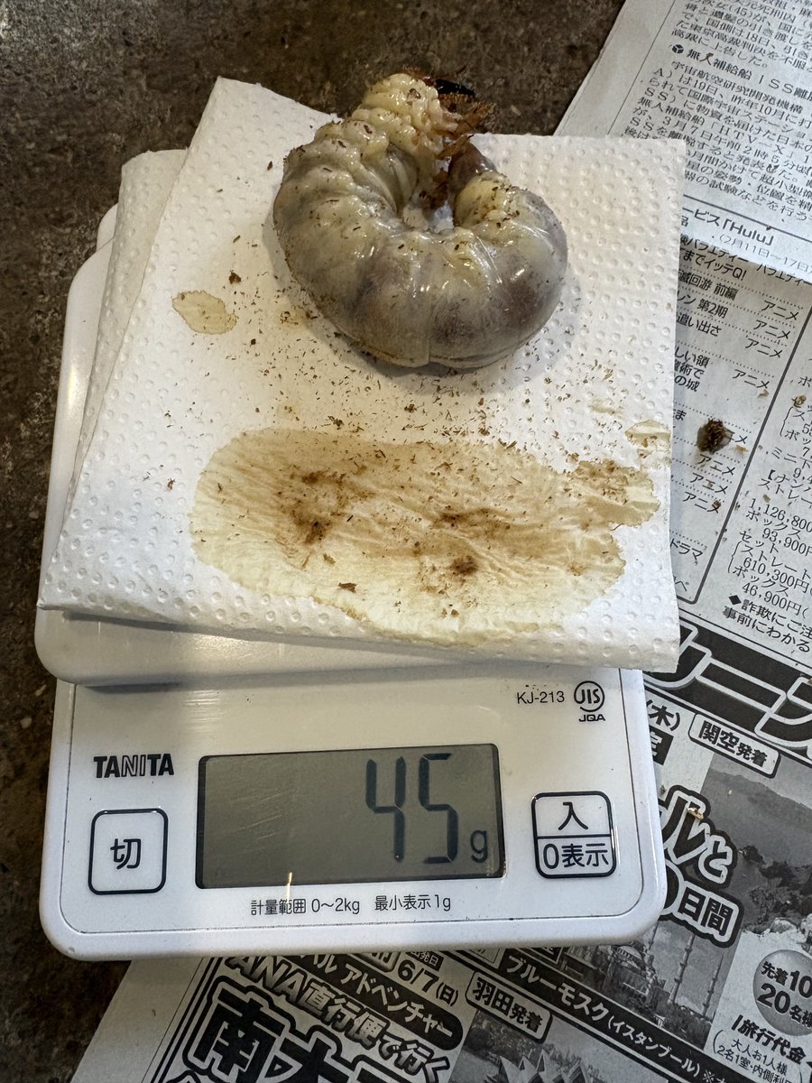 イチロー 16 (@tetu4411) / Posts / X