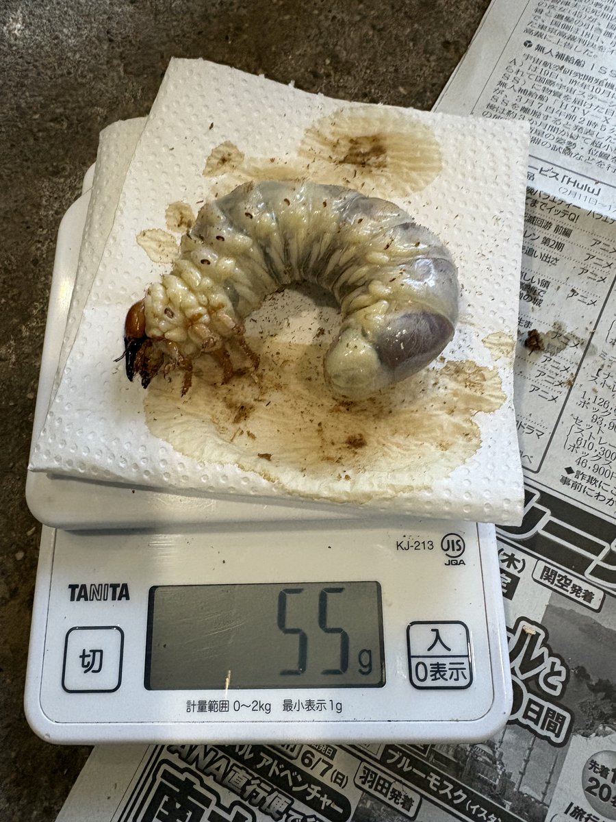 イチロー 16 (@tetu4411) / Posts / X