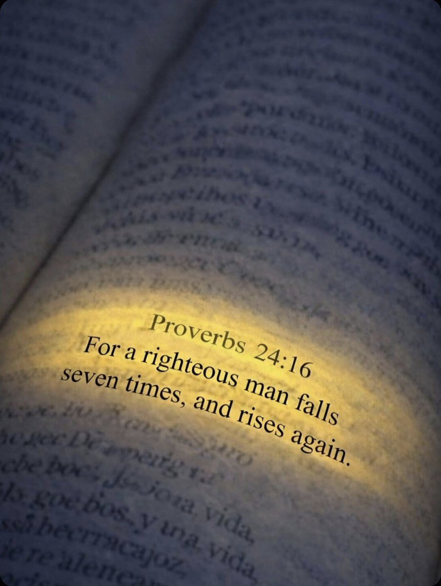 Holy Bible tweet media