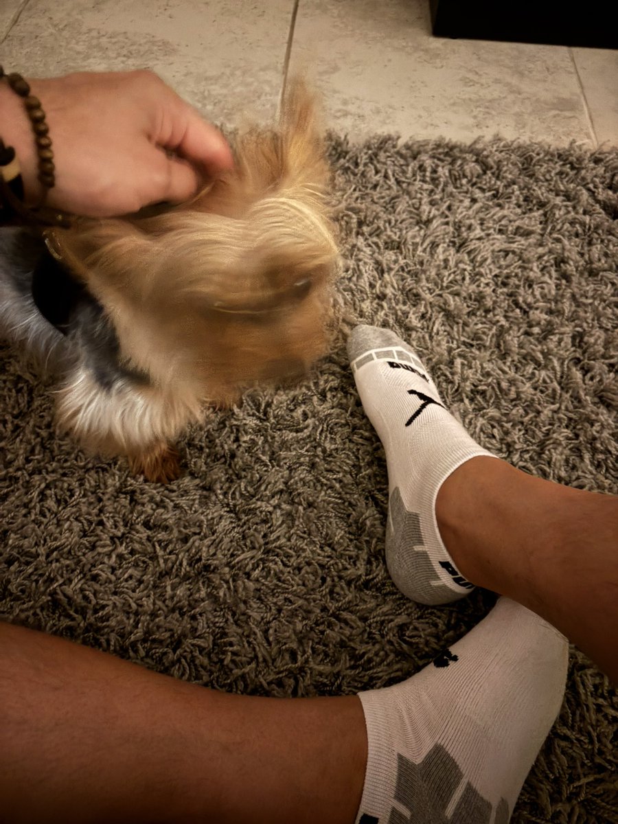 So excited to show you these socks, I might PUMA pants 😂