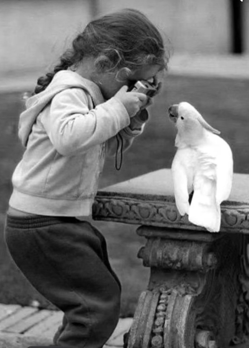 Buenos días y muy buena vibra mi maravillosa gente bella...