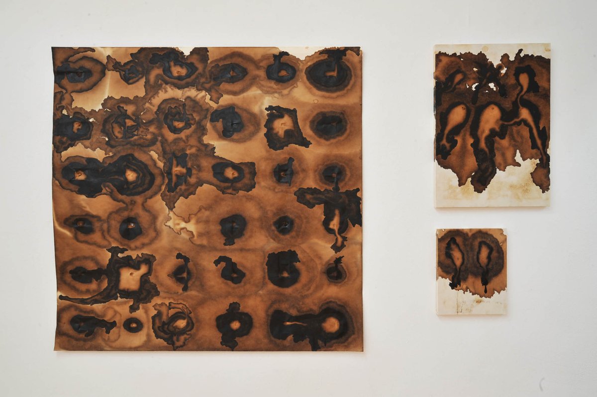 「ヴィセラル  I」

本日、最終日です。

出品作家：井上幸次郎、本田和博、安田萌音

(2026.2.16mon-21sat  11:30-18:30)