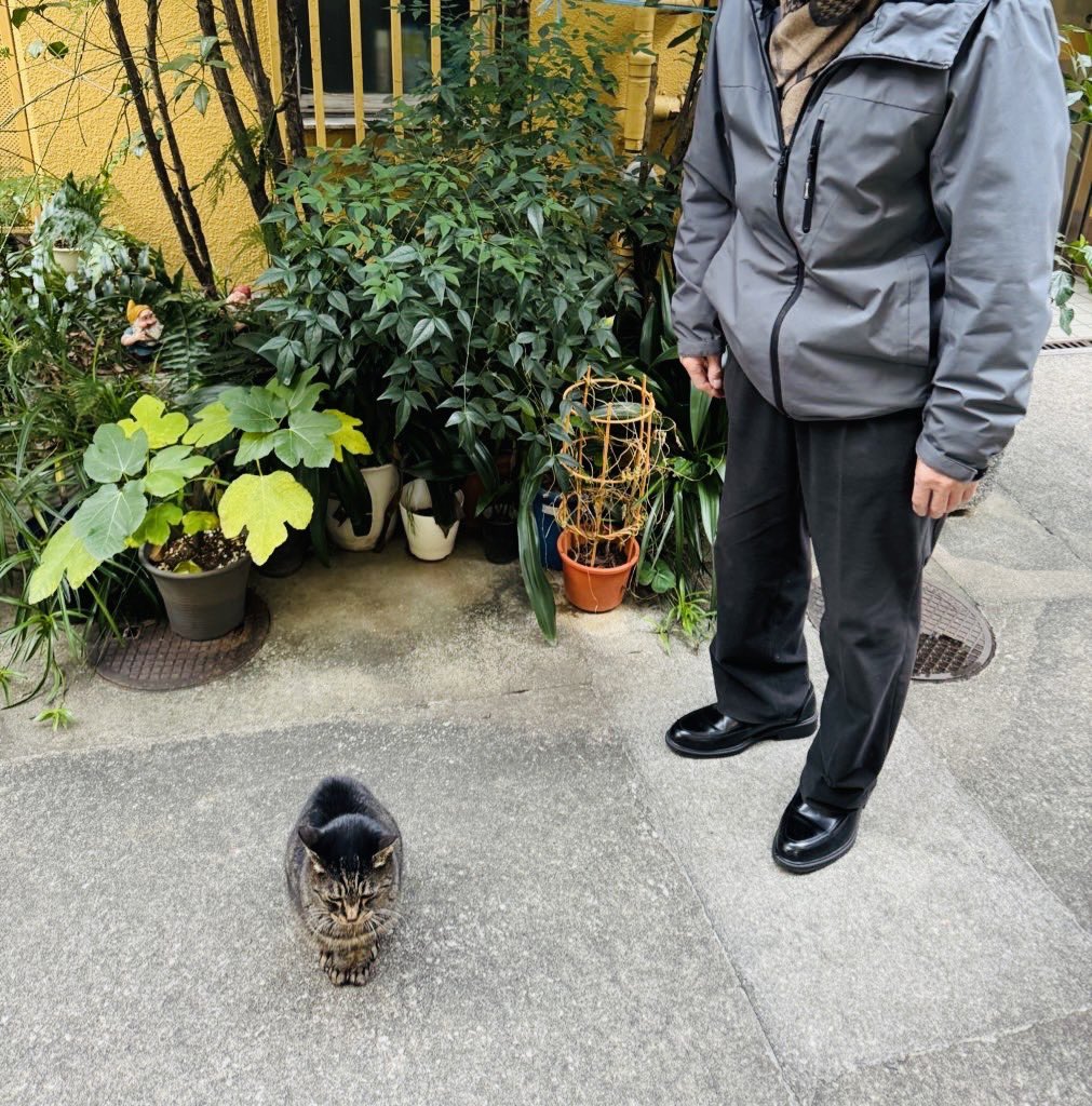 人が来ても絶対に移動しない、
鋼のメンタルをもったヌコさん。