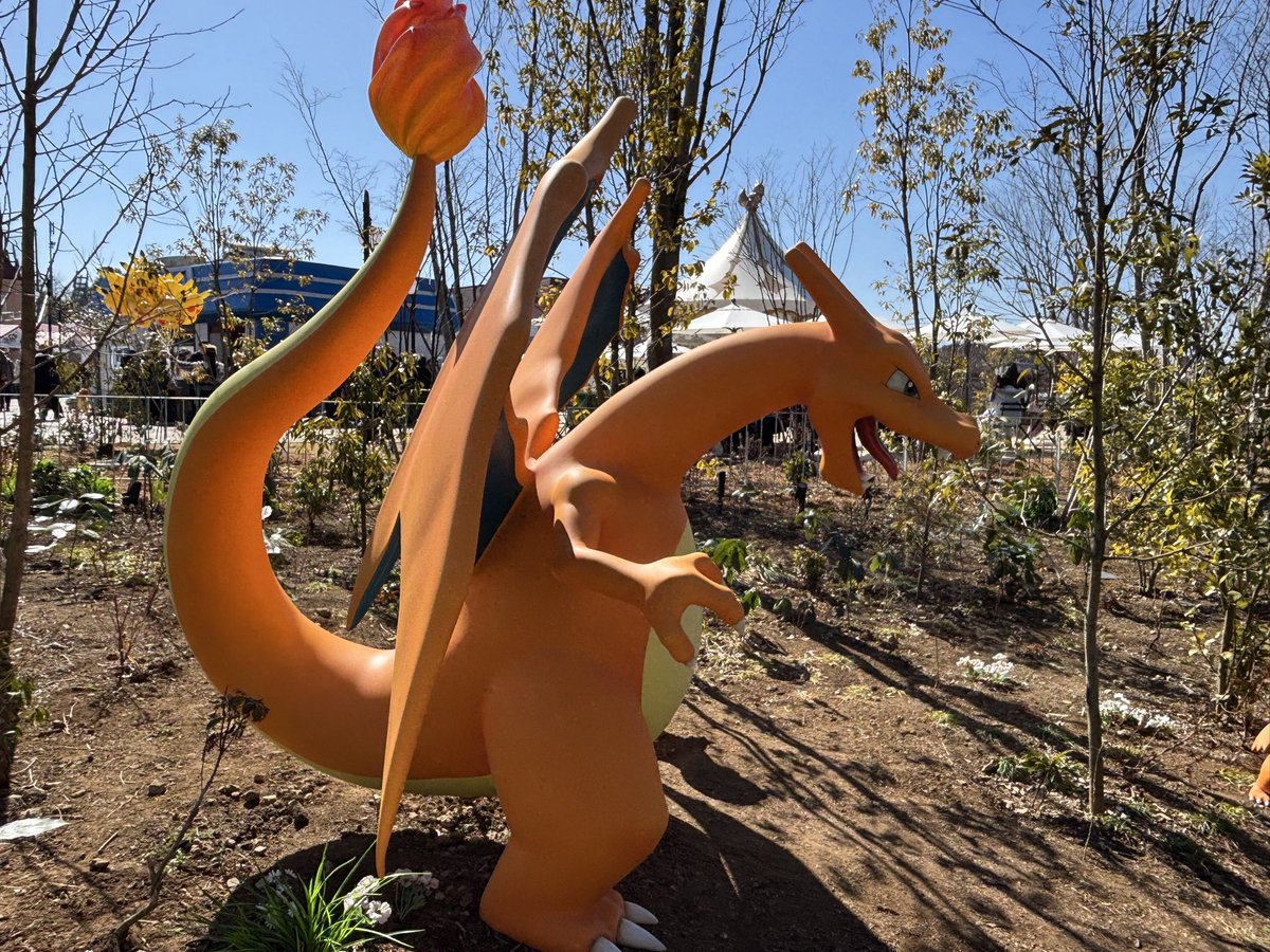 リザードンの全てがかわいい……… #ポケパーク #ポケパークカントー