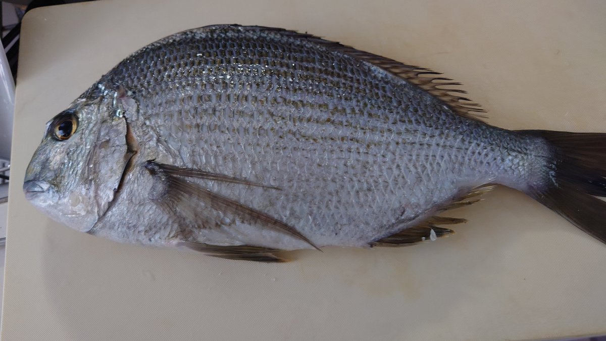 かずっぺ (@f31_leopard_xs) / Posts / X