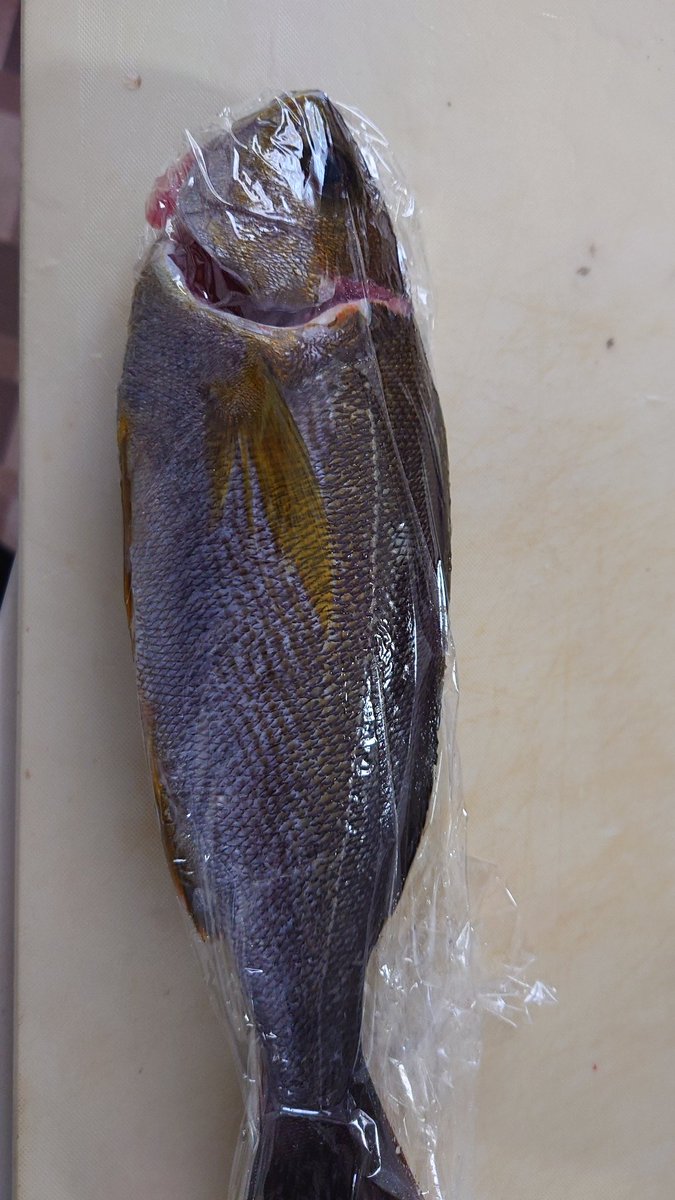 かずっぺ (@f31_leopard_xs) / Posts / X