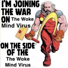 LunarNovaaVT ‍🌠🌙 (@lunar_novaa) on Twitter photo 