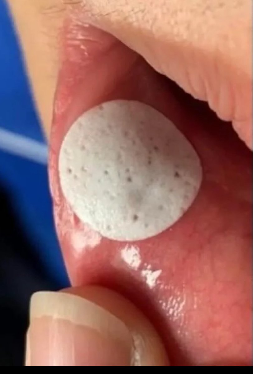 ilonaraa tweet media