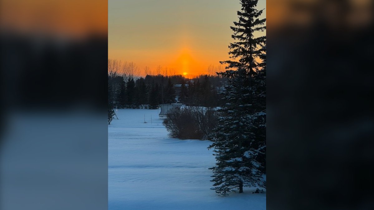 CTV News Calgary tweet media