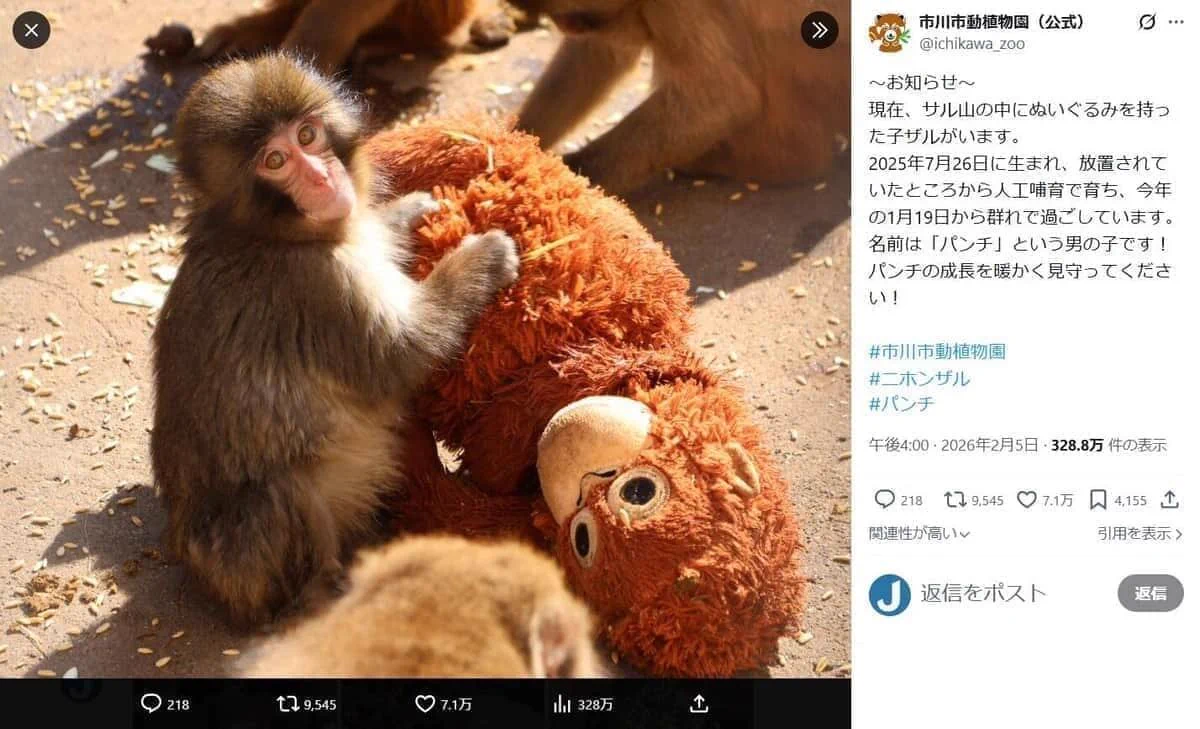 市川市動植物園のパンチくん ぬいぐるみ抱き群れに馴染む姿が話題