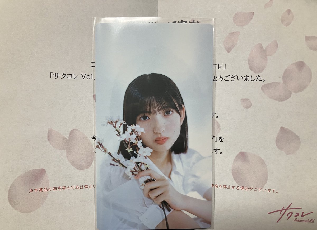 良すぎて(サクコレはもう引かないって決めかけてるのに、これは良く