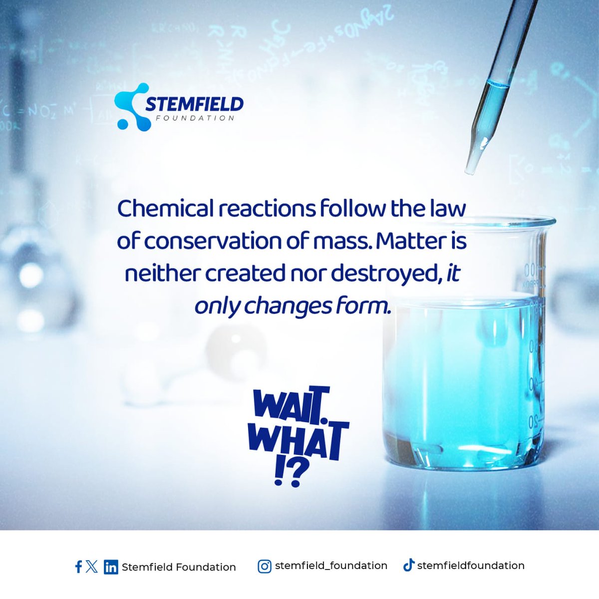 Stemfield foundation tweet media