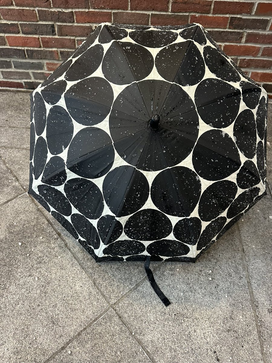 MartinaCurtin's tweet image. Day 51 #100daysofwalking 
A snowy Friday in Boston. ❄️🌨️
#snowsnowsnow #wintertime #cityofboston #bekind
@NewstalkFM @NTBreakfast