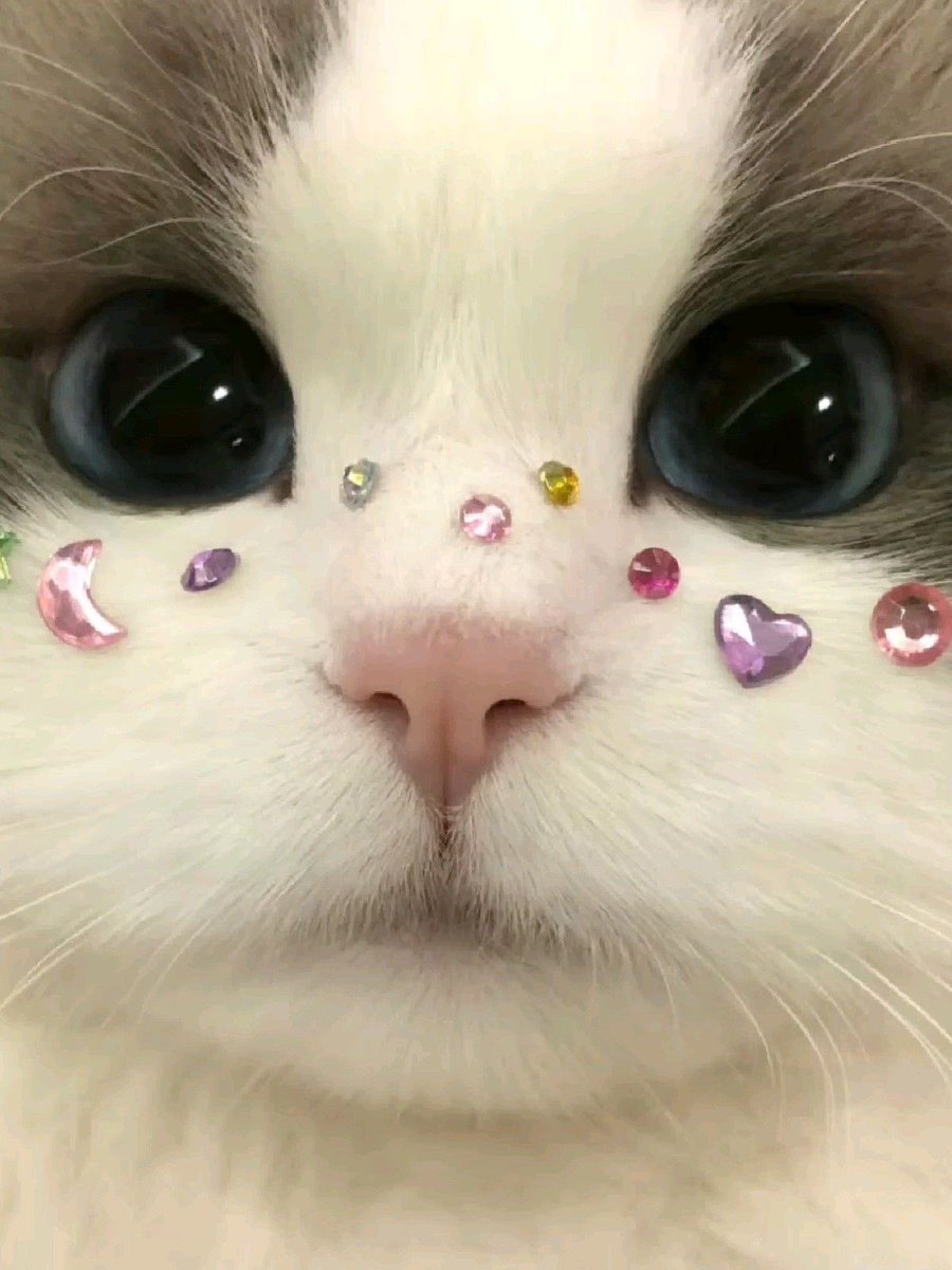 🐰ྀི (@getabinny) on Twitter photo 