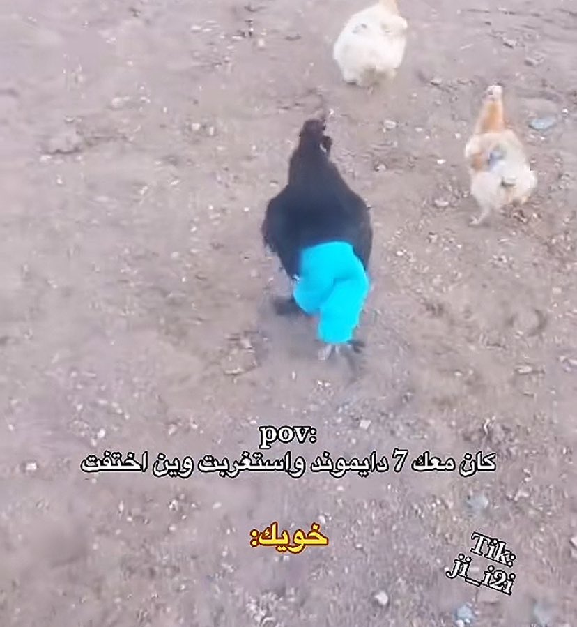 وين الدايموند