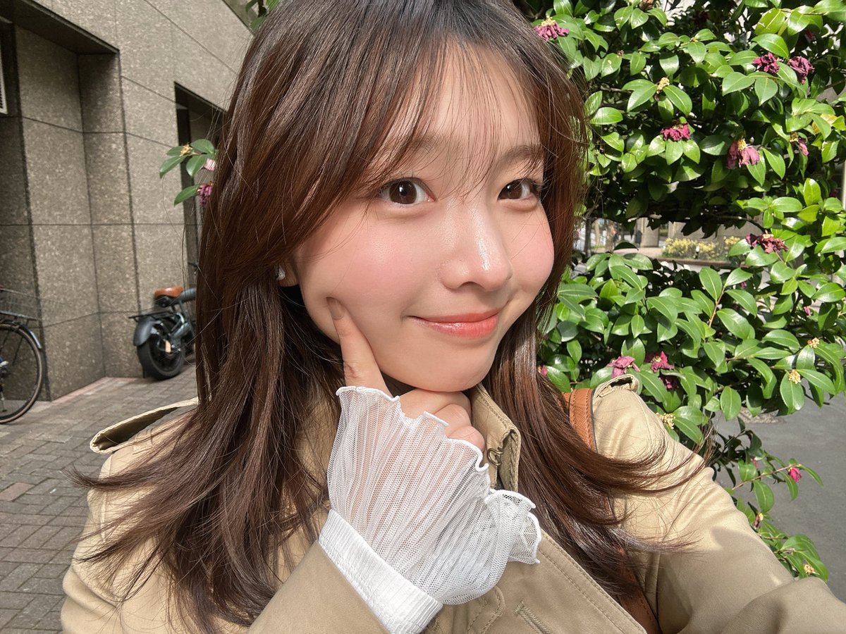 通りすがりに六本木の桜〜🌸