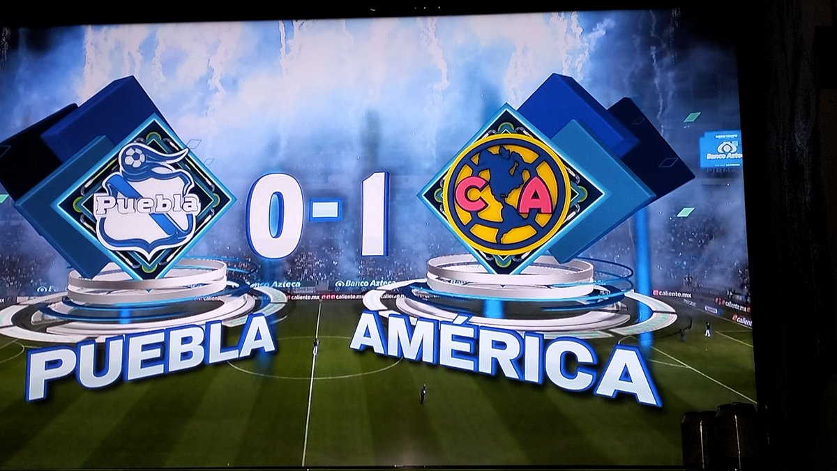 🦅🦅🦅🦅🦅🦅