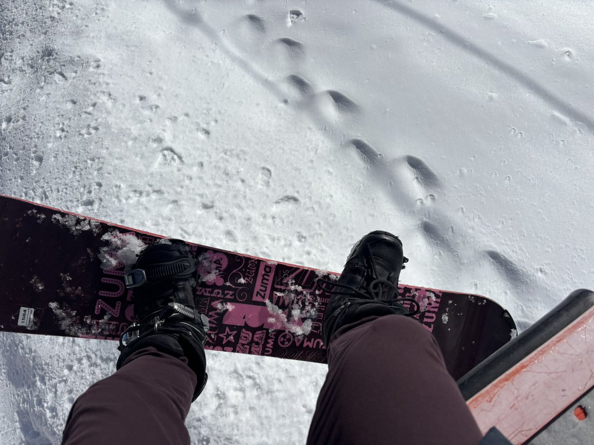 ぱりしお tweet media