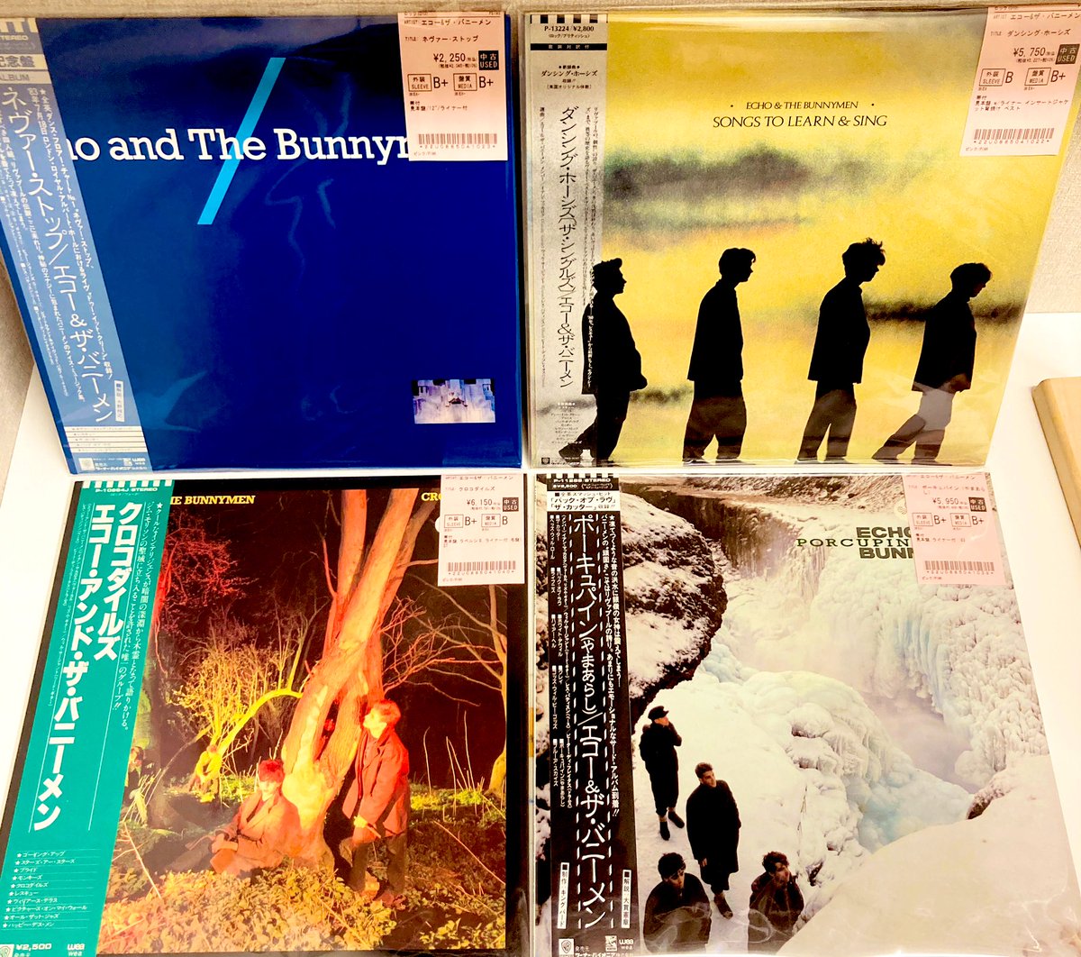 中古レコード新入荷】 エコー&ザ・バニーメン のレコードがまとまって