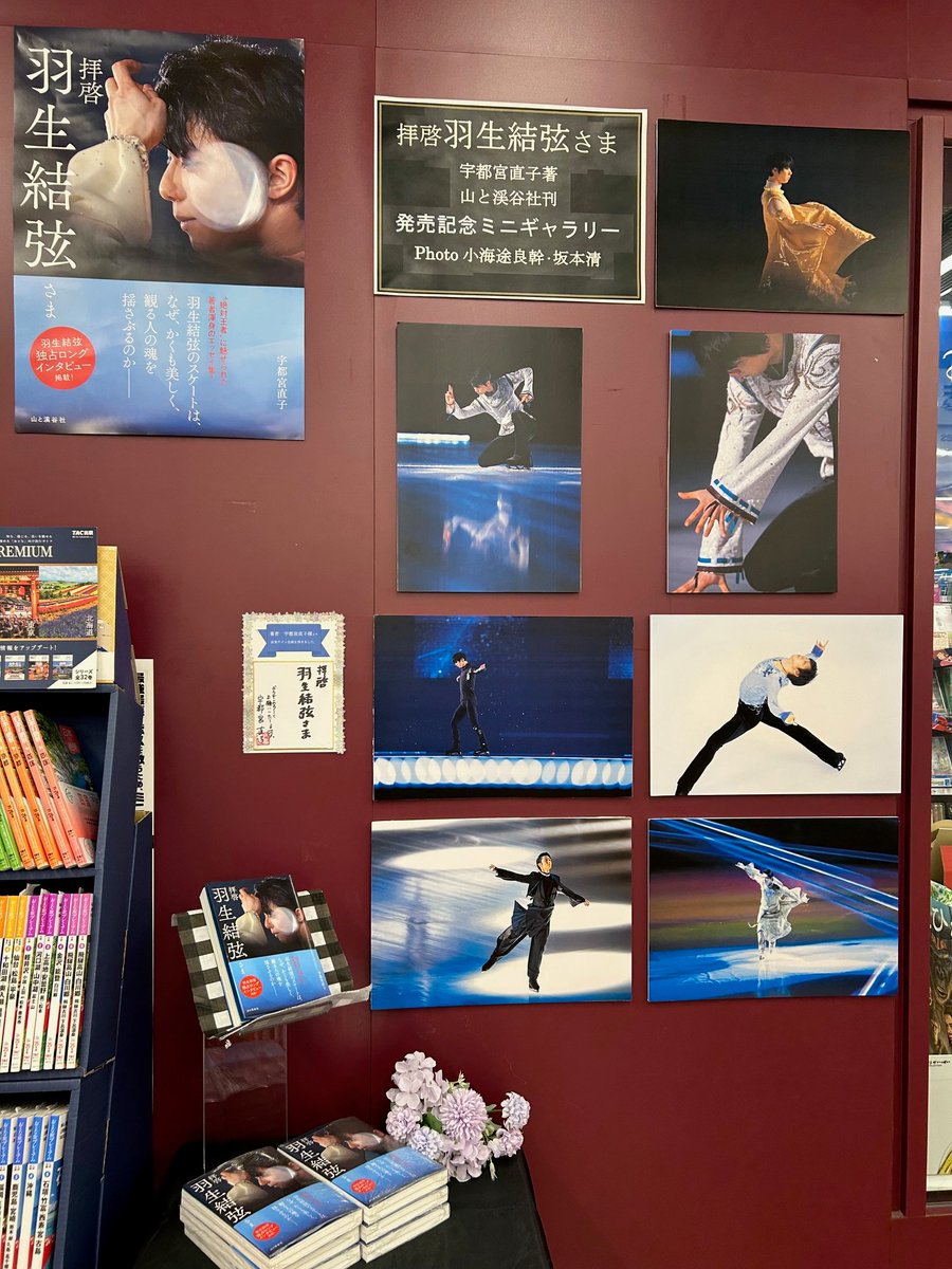 ﾊﾆｰ・ｻﾞ・ﾌﾟｰ ⛸️🪽Mystery Tour搭乗中✈️ (@Hunny_the_Pooh